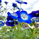 Thumbnail of post image 026